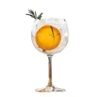 Gin Tônica